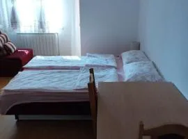 Apartment in Banja Koviljaca