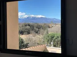 Panorama du Vallespir