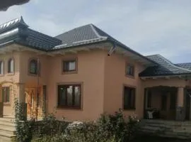 Casa Ilea -Agapia