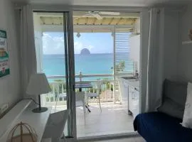 Superbe studio avec piscine et vue incroyable