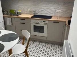 The Bratislava Attic w Aircon and Parking