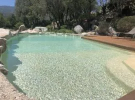 Domaine Pardini