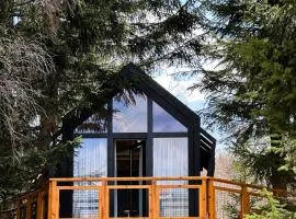 Kuća na drvetu - Zlatar Hill - Treehouse