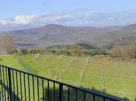 Appartamento in Chianti.