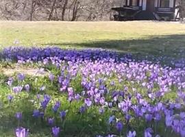 Cabana Satic Piatra Craiului La Doi viermi, hotel en Sătic