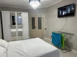 Однокомнатная Карпинка
