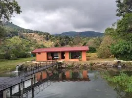 Persea Inn Finca Integral Sostenible Organica Toro Careto、Copeyのシャレー