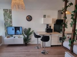 New jungle studio cœur de ville, apartman Pont-à-Moussonban
