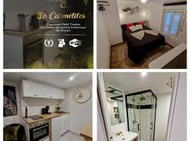 LE PETIT TRIPLEX DES CARMELITES -COEUR HISTORIQUE