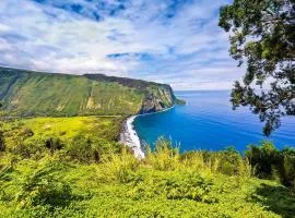 Cozy Beach Studio- Couples Relaxing , Kona, Beach gear included