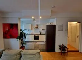Le cocon du midi - Appartement Cosy