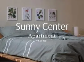 Sunny Center Apartment