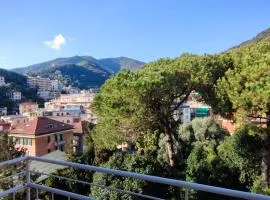 Il Pino