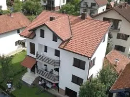 Apartments D&S Bajina Basta with barbicue