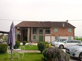 il salice
