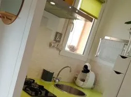 LE SOLO