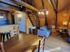 Chalet 5 personnes, proche ski et rando, balcon sud, TV, lave-linge - FR-1-393-165