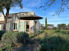 Paisible gîte moderne avec vue sur le Luberon