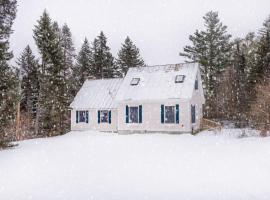 The Whimsical Chalet chalet, haustierfreundliches Hotel in Mount Holly