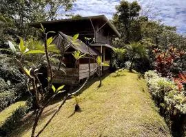 Casa’ Mapola : typical beach jungle house