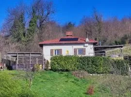 La Casa nel Bosco