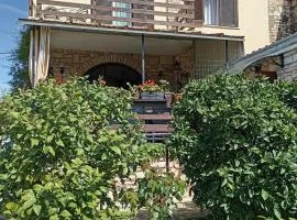 Studio Liznjan 11152a