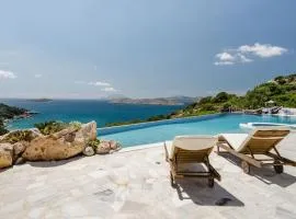 Los Olivos V.I.P Poolvilla Kritinia