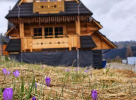 Góralski Domek Łopatówka z kominkiem i Banią - Jacuzzi!, hotel in Murzasichle