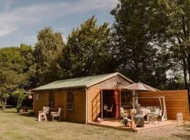 Natuurhuisje in het weiland
