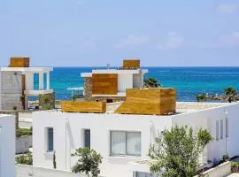 Villa Aqua Paphos
