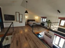 Loft americano in villa