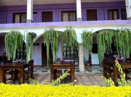 Hotel Quinta Vista Verde, hotel con estacionamiento en Antigua Guatemala