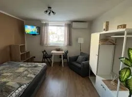Deteljica