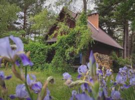 Przytulia - chata na bezdrożach Roztocza, hotel in Górniki