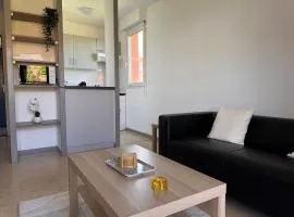 Charming one bedroom apartment, - pres des commerces et tram FIBRE wifi, Airbus MEET super location