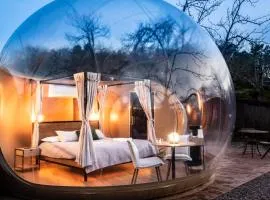 Horizonte Bubble rooms