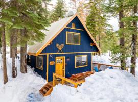 Indigo Owl by AvantStay Cabin w Hot Tub Firepit Minutes to Lake Slopes, villa en Homewood