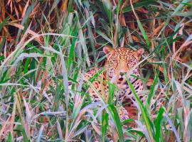 Tambopata Ecolodge &ndash; domek g&oacute;rski 