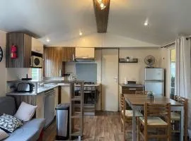 Mobile home Cc995 near swimming pool - Les Charmettes