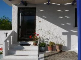 Stefanos Garden
