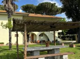 Bivio di punta ala