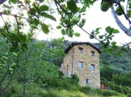 Cà Panù
