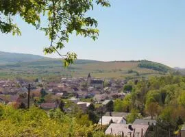 Villa Bonita del Kaiserstuhl