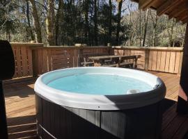 LE RENNE Chalet en bois au calme avec SPA Jacuzzi, Hotel in La Bresse