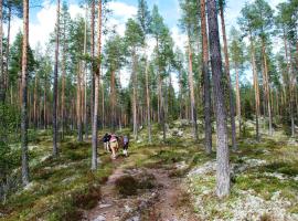15-Nasjonalpark, sykling, fisking, kanopadling, skogs- og fjellturer, hotell i Ljørdal