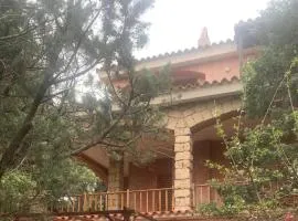 Casa Alma1