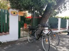 Vacanze degli Sposi