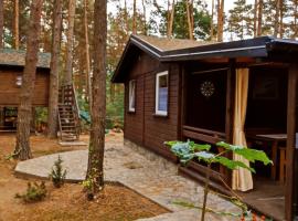 Domek pod sosnami, будинок для відпустки у місті Grodziczno