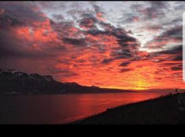 Paradis sur Léman, lägenhet i Chardonne