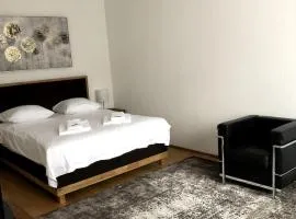 Nice 1BR flat - city center with balcony - West3